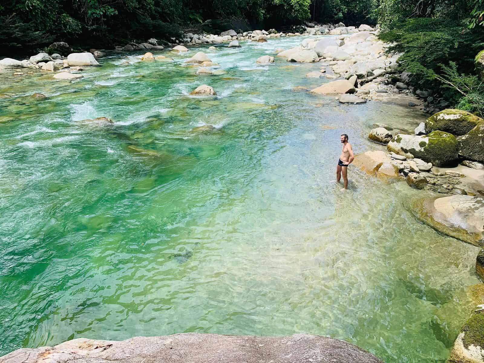 30-Day Shipibo Master Plant Dieta in Ecuador 4