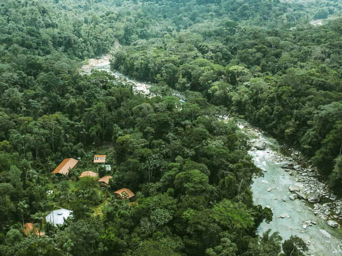 30-Day Shipibo Master Plant Dieta in Ecuador 3